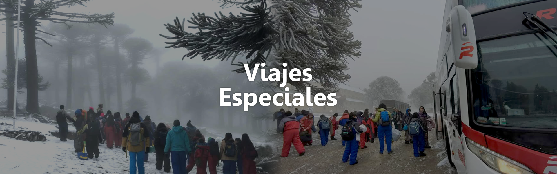 banner SERVICIOS - VIAJES ESPECIALES ORDENADOR 3